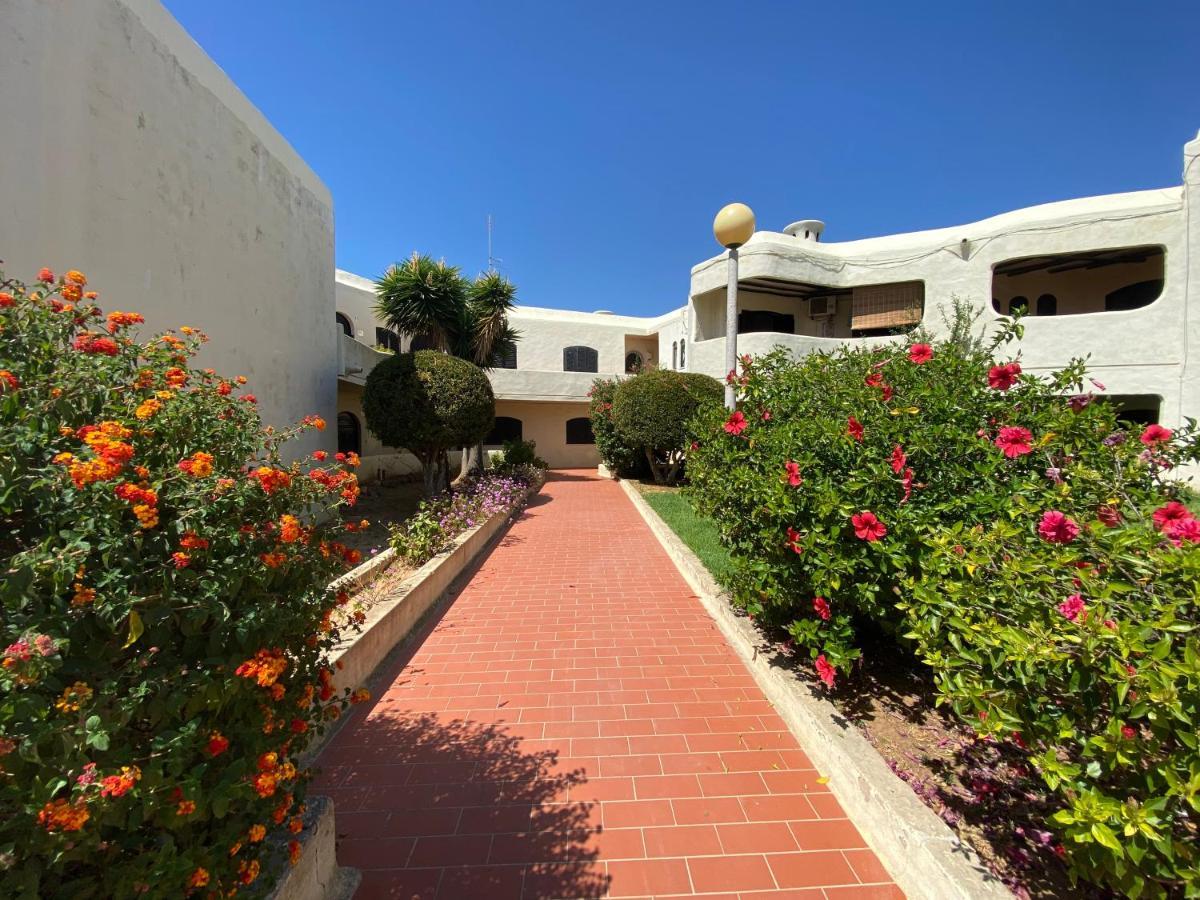 Peaceful & Spacious With Parking & Queen Bed Apartment